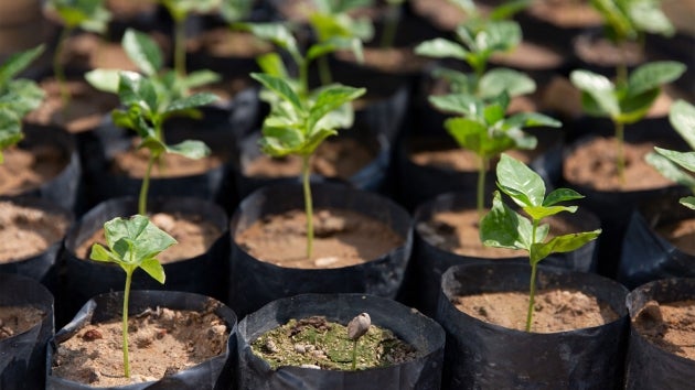 Udvikling af dit virksomhedsansvar