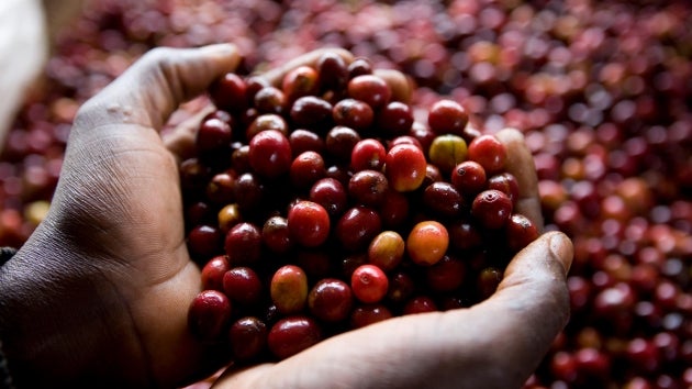 Single-serve-løsning fra Starbucks®